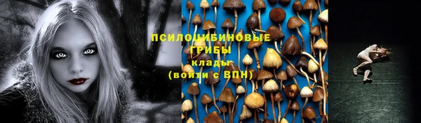 прущая мука Гвардейск