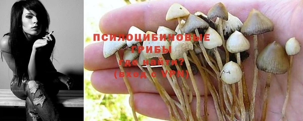 индика Вуктыл