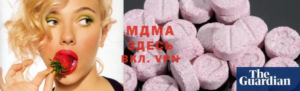 прущие грибы Гатчина