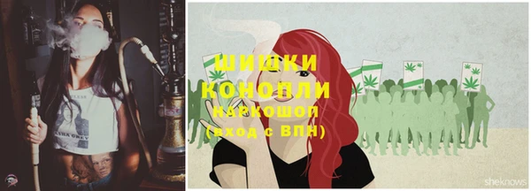бошки Надым